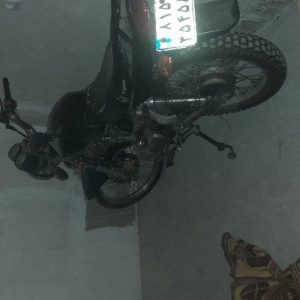 موتور سیکلت کایوت