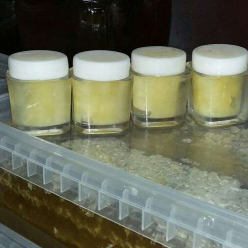 ژل رویال اصل