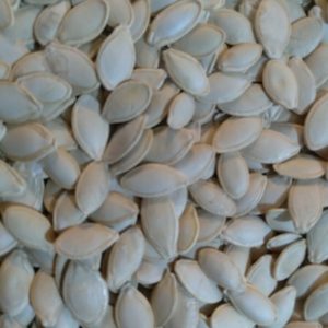 تخمه کدو خوی