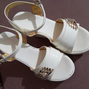 کفش مجلسی