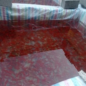 ماهی قرمز شب عید