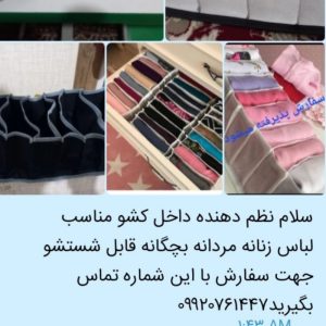 نظم دهنده