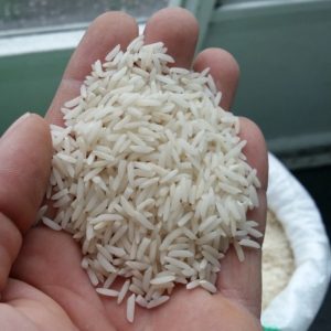 چای و برنج اعلا گیلان عمده و جزئی