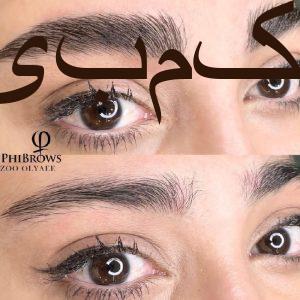مدل فیبروز رایگان