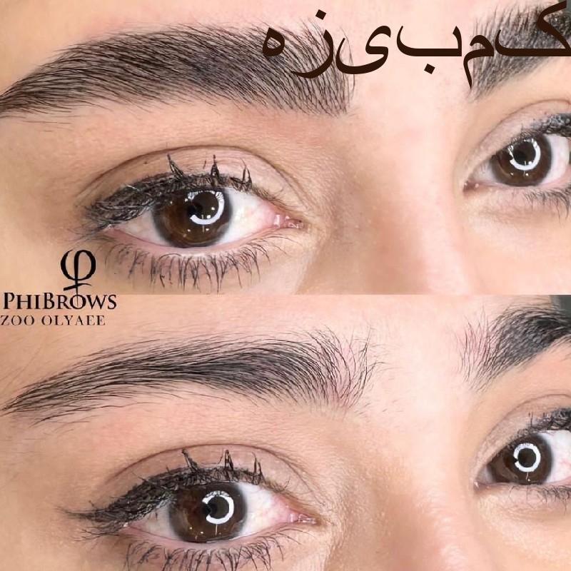 مدل فیبروز رایگان