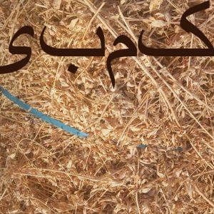 مخصوص حیوانات