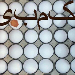 تخم مرغ اقتصادی زرده زعفرانی ویژه