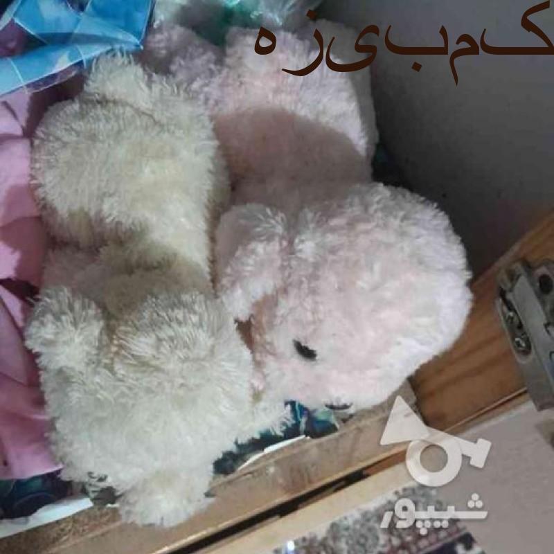 عروسک خرسی قابل شستشو میباشد وعروسک سگ غیر قابل