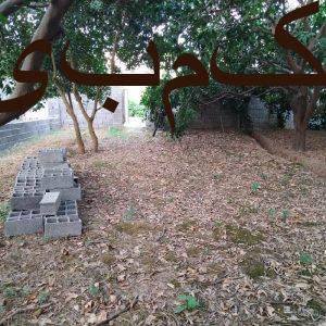 زمین مسکونی 200 متری قائمشهر