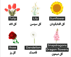 اسم انواع گل طبیعی با عکس