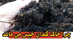 چرا خاک گلدان خیس می ماند و خشک نمیشود ؟