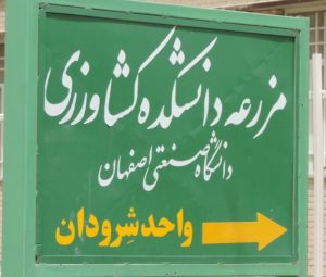 شرودان