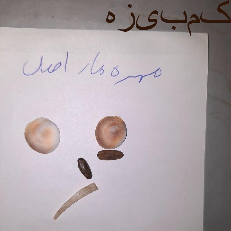 مهره اصلی
