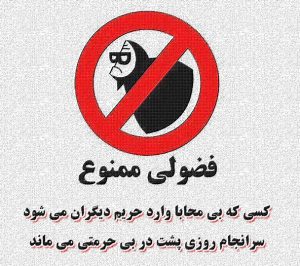 انواع فضول