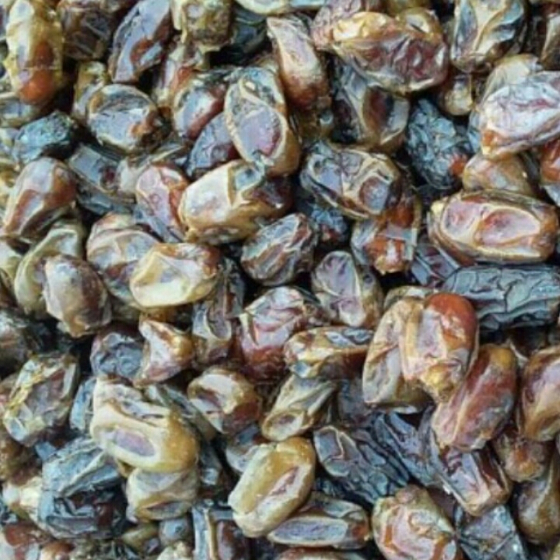خرماشکر