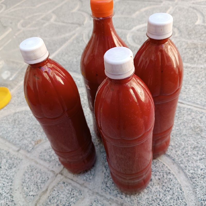 رب خونگی