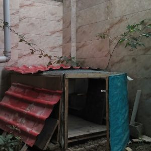 لانه مرغ بلدرچين وغیره