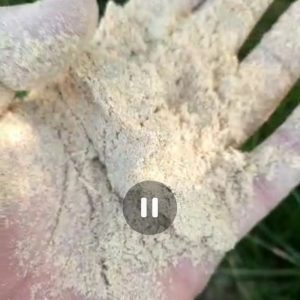 سبوس سنتی اردک دوکوب ومدرن
