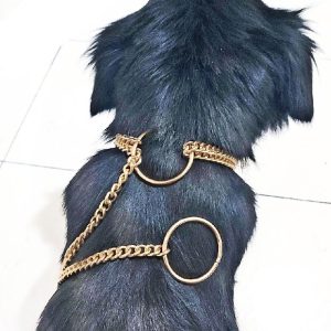 قلاده و گردنبند سگ و گربه