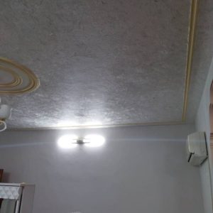 خدمات پتینه و الیاف