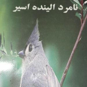 کتابهای خانم نوبخت