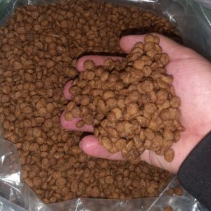 فروش غذای سگ