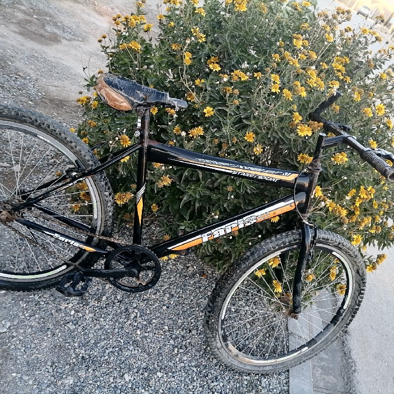 دوچرخه
