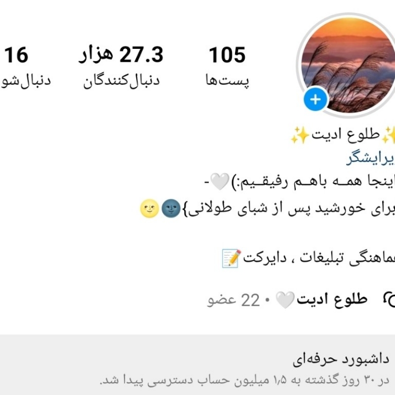 پیج اینستا