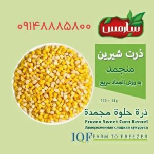 فروش پنیرپیتزا موزرلا در تبریز 09354259552 رنجبر