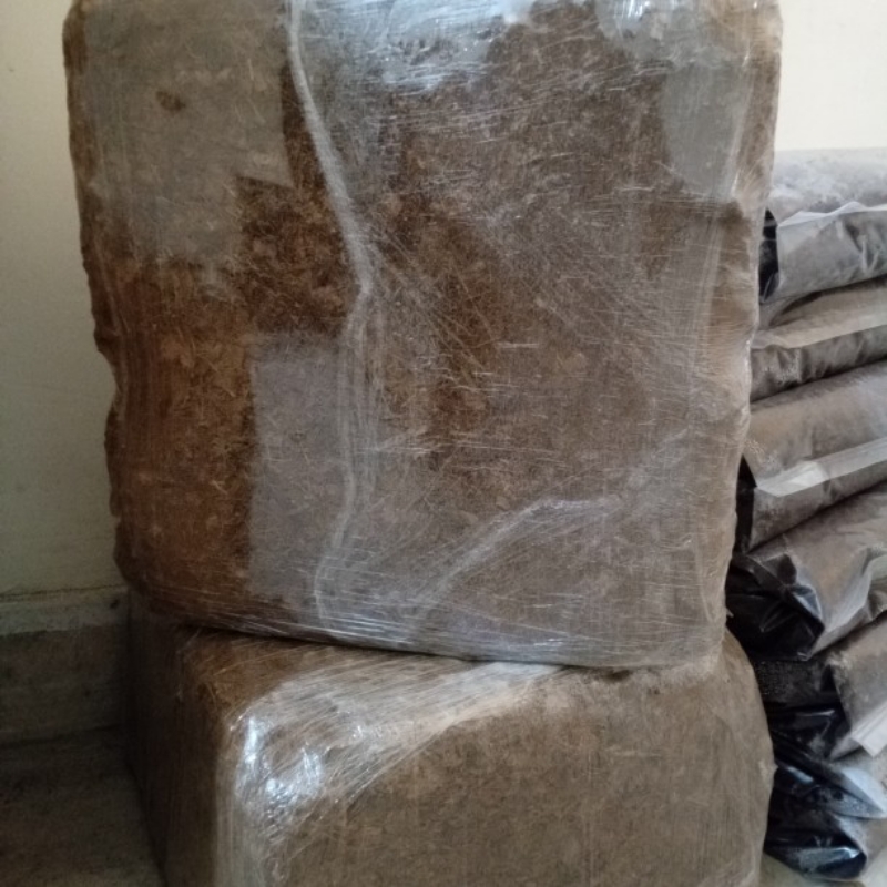 کوکوپیت کوکوچیپس