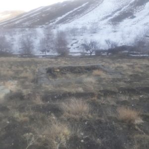 فروش زمین باغ و۰۰۰