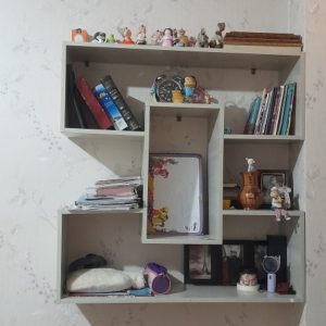 کتابخانه  دیواری
