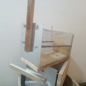 تله موش مکانیکی چوبی بزرگ