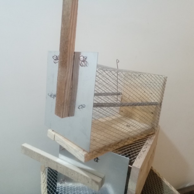 تله موش مکانیکی چوبی بزرگ
