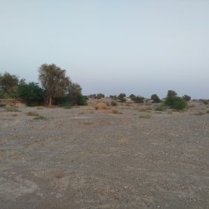 زمین 2000 متری