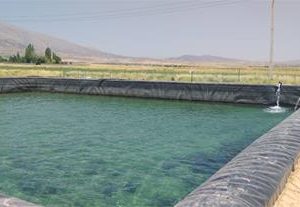 تولید ، فروش و نصب ورق عایق ژئوممبران