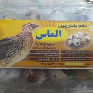فروش تخم، گوشت و خود بلدرچین تخم گذار الماس