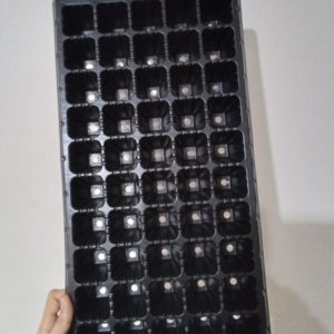 سینی نشا گلخانه