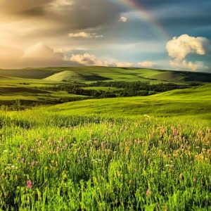 نیاز، خیریه  دارم