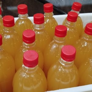 آبغوره امسال تازه وعسگری خالص تا برای امسال