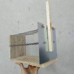تله موش مکانیکی چوبی بزرگ