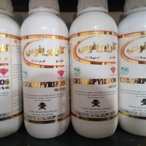 سم حشره کش کلرپیریفوس ساس سوسک موریانه
