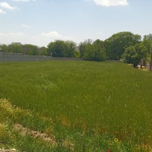 زمین فروشی