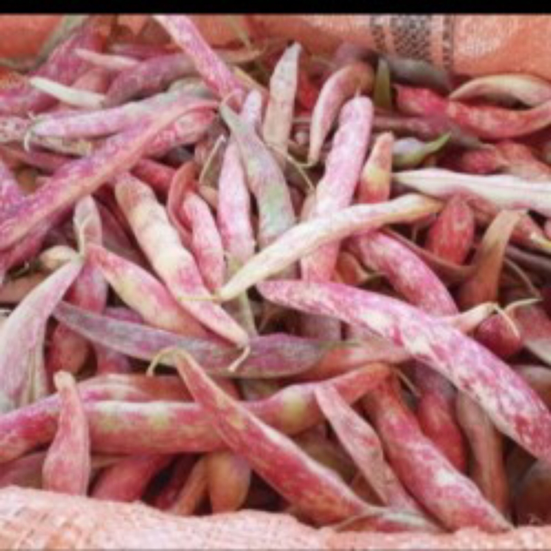 لوبیا چیتی