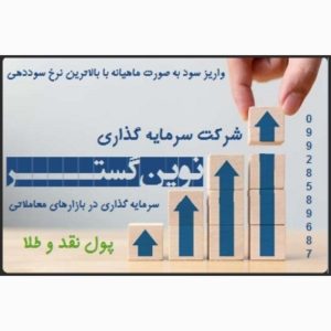 سرمایه گذاری با پول و طلا