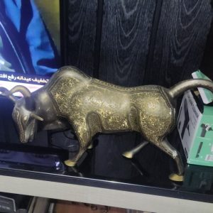بوفالو برنز طلاکوپ خارجی