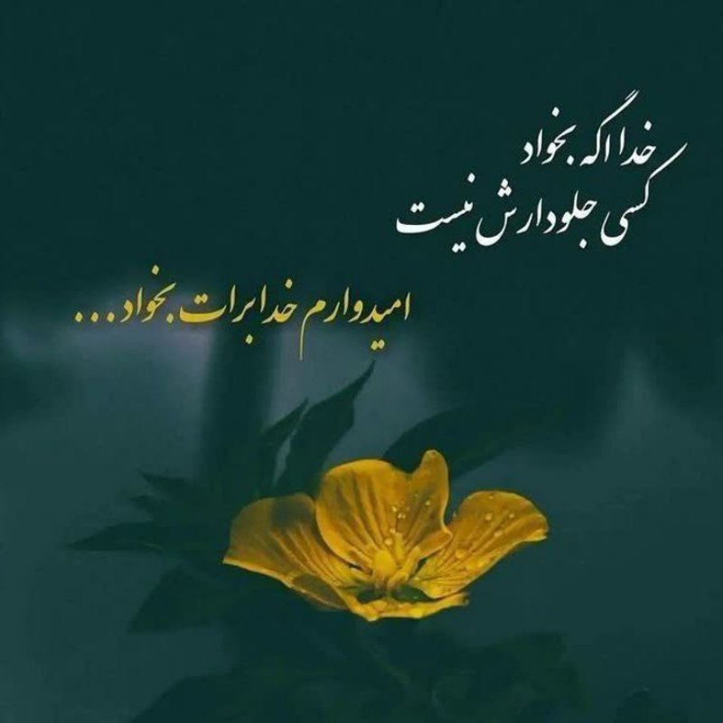 کار در منزل با گوشی خیلی عالی و در آمد بالا سریع اقدام کنید تعداد محدود است