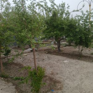 چهار دیواری