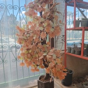 درخنچه گل مصنوعی پاییزه