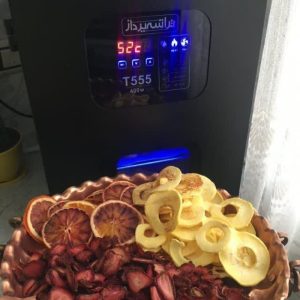 کسب و کار خانگی با دستگاه میوه خشک کن